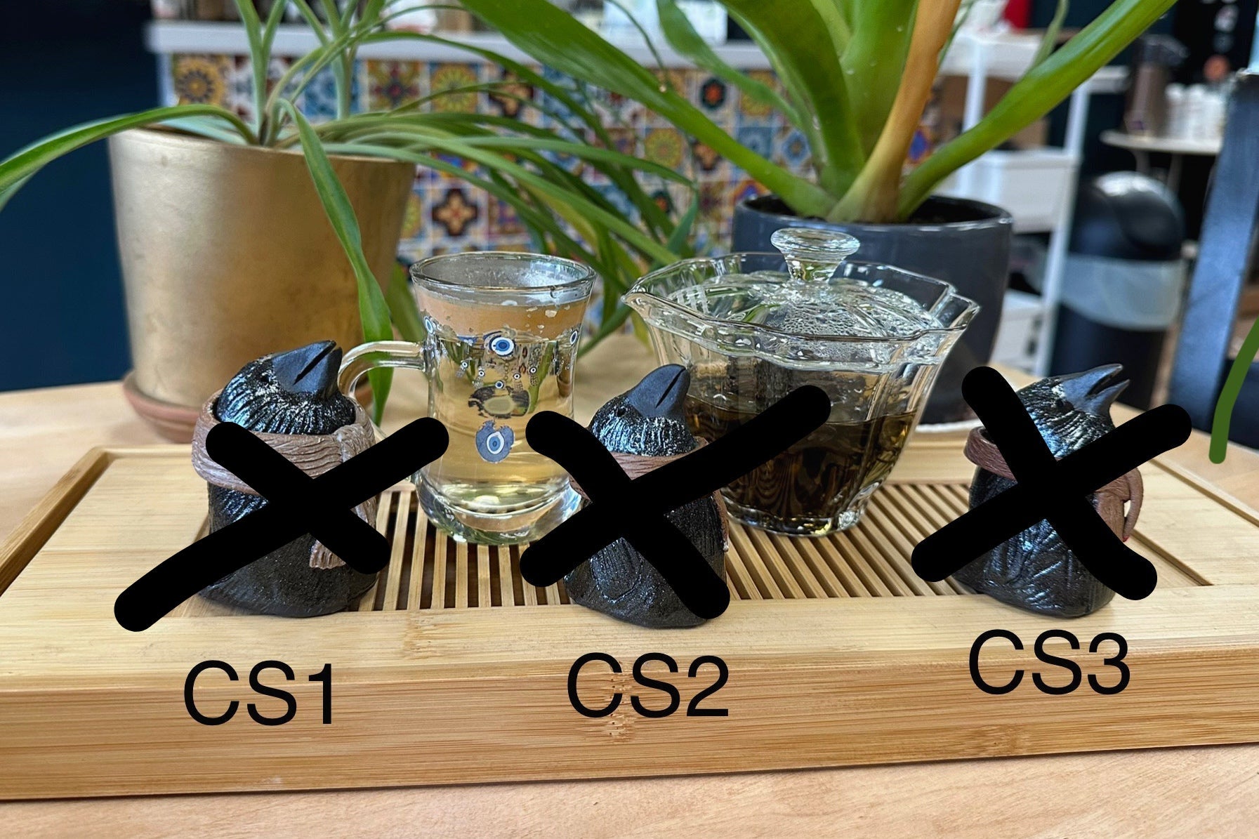 Three crow tea pets with winter scarves labeled CS1-CS3