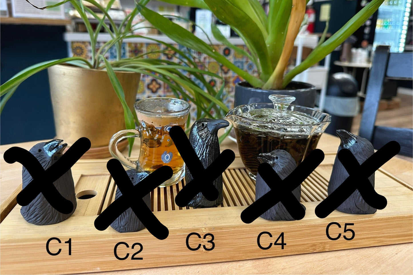Five plain black crow tea pets labeled C1-C