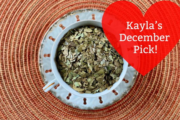 Yaupon Holly - Roasted